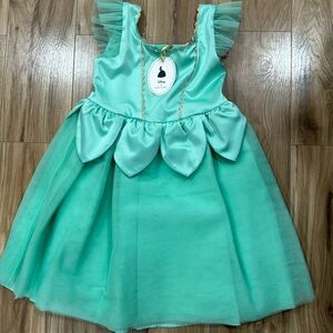 Disneys princess Tiana Janie and jack dress